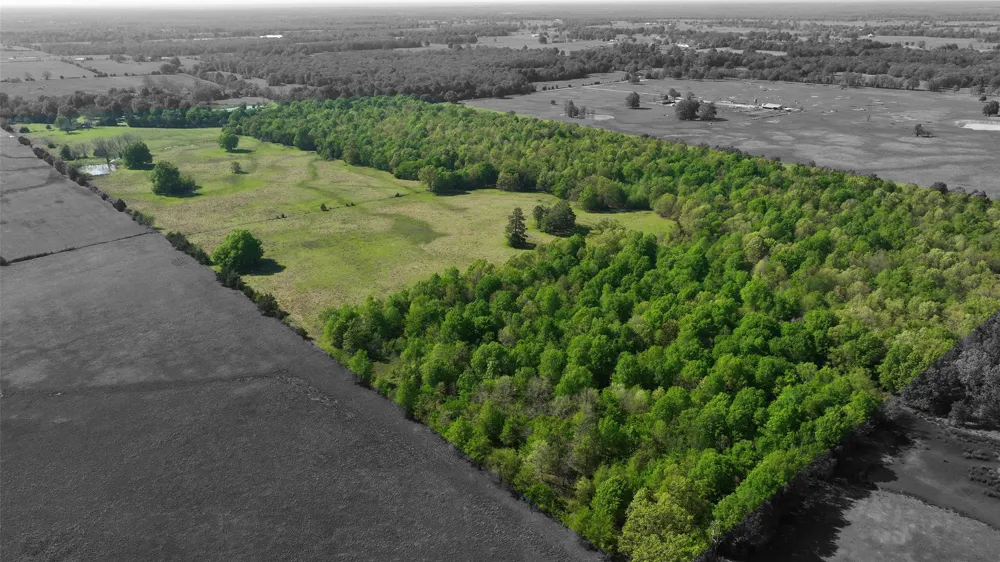 0000 Farm Road 1502 Detroit, TX 75436