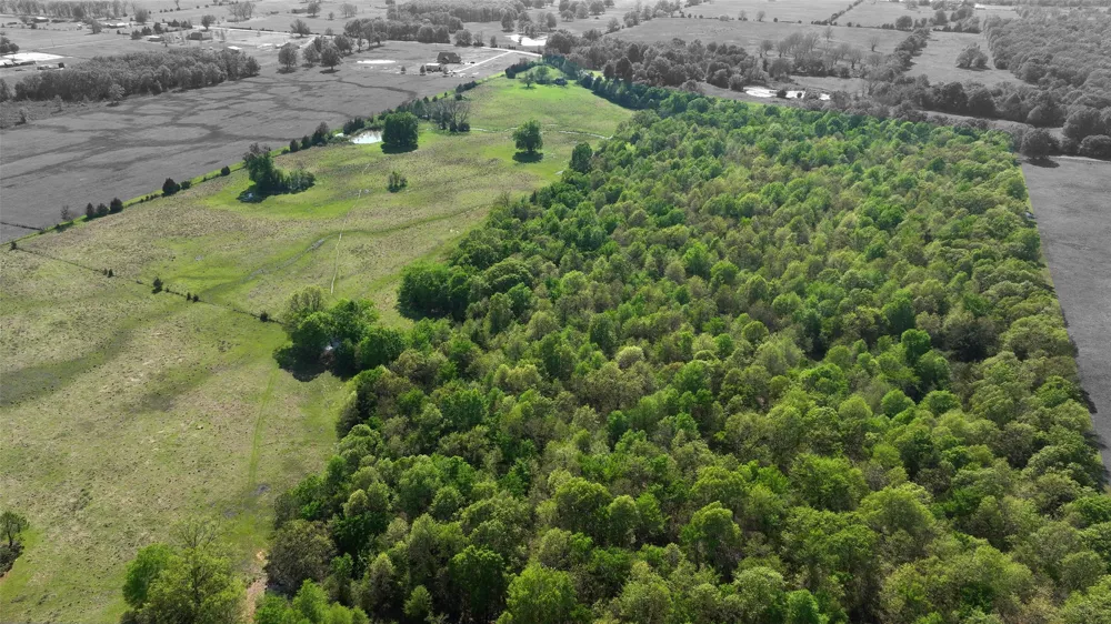 0000 Farm Road 1502 Detroit, TX 75436