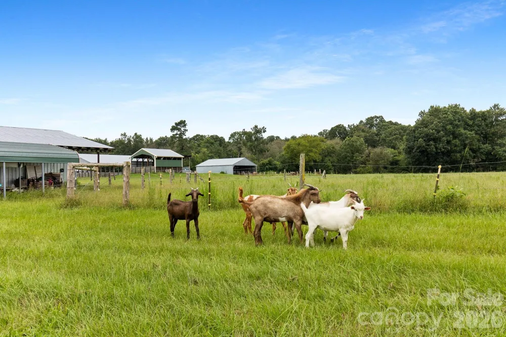 1333 Bunnlevel Erwin Road Bunnlevel, NC 28323