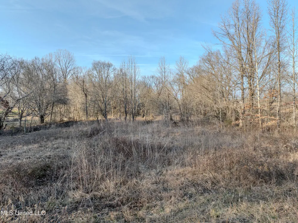 2 Boggan Lane Hernando, MS 38632