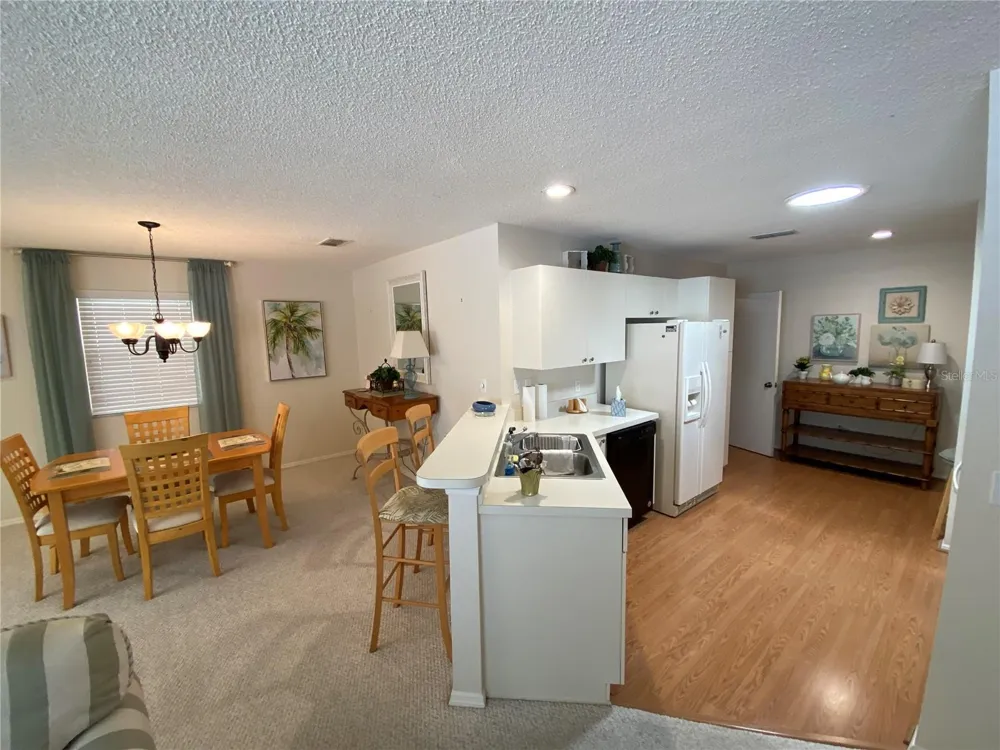 1672 DURAN DRIVE The Villages, FL 32162