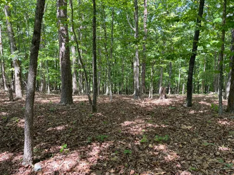 TRACT1A Chalcrest Way