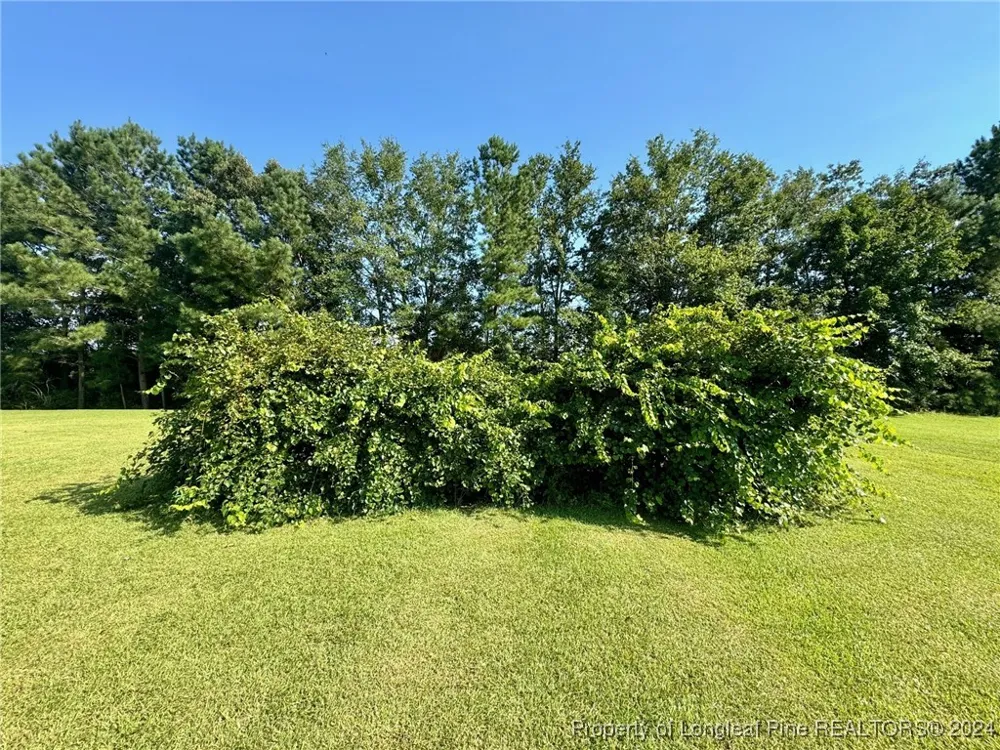 243 Trace Lane Pembroke, NC 28372