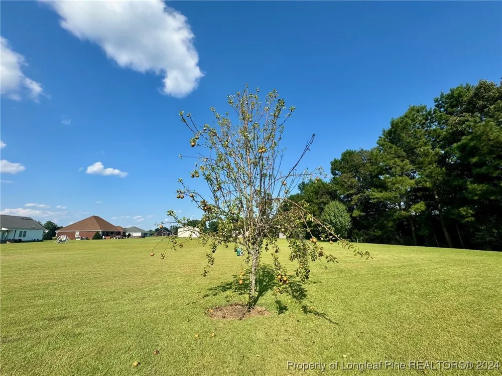 243 Trace Lane Pembroke, NC 28372