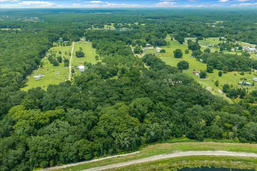 TBD SE 95TH ST RD Ocklawaha, FL 32179