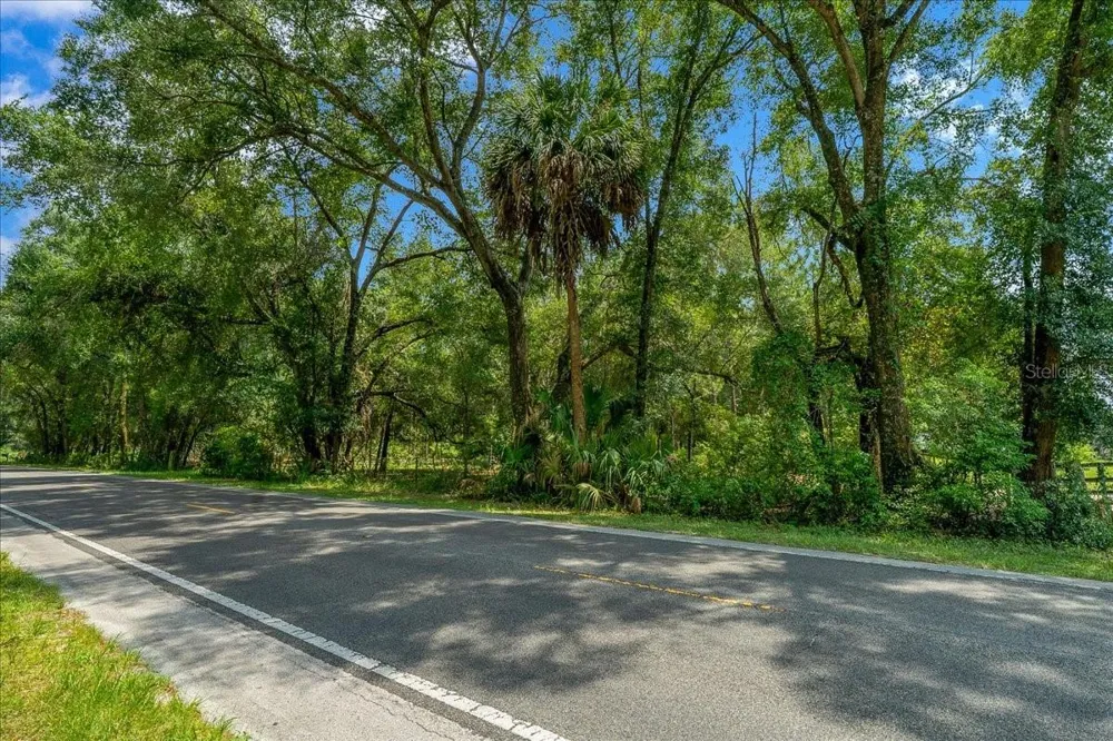 TBD SE 95TH ST RD Ocklawaha, FL 32179