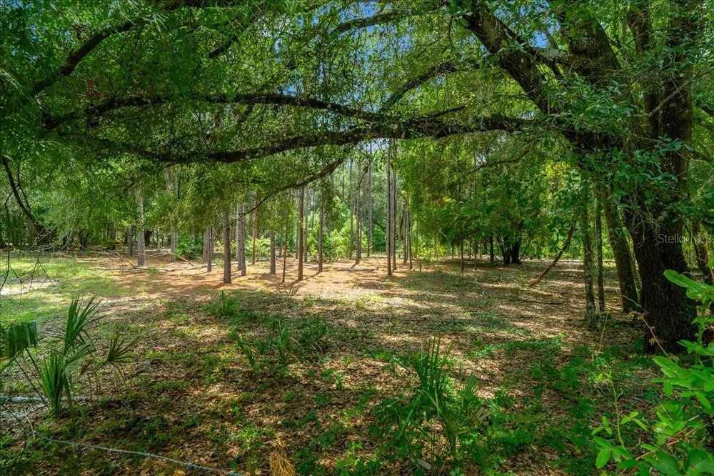 TBD SE 95TH ST RD Ocklawaha, FL 32179
