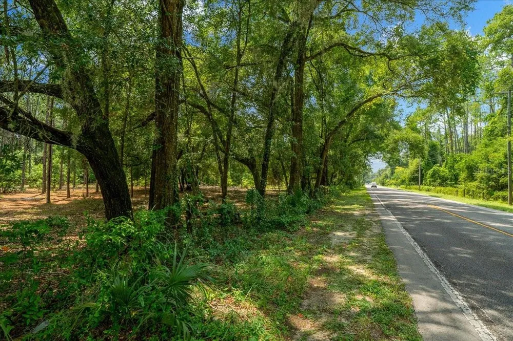 TBD SE 95TH ST RD Ocklawaha, FL 32179