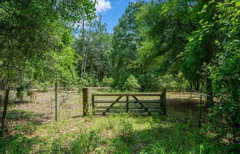 TBD SE 95TH ST RD Ocklawaha, FL 32179