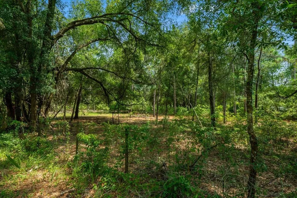 TBD SE 95TH ST RD Ocklawaha, FL 32179