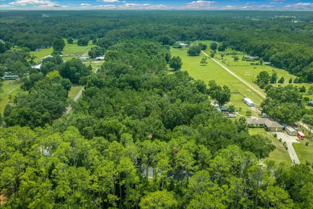 TBD SE 95TH ST RD Ocklawaha, FL 32179