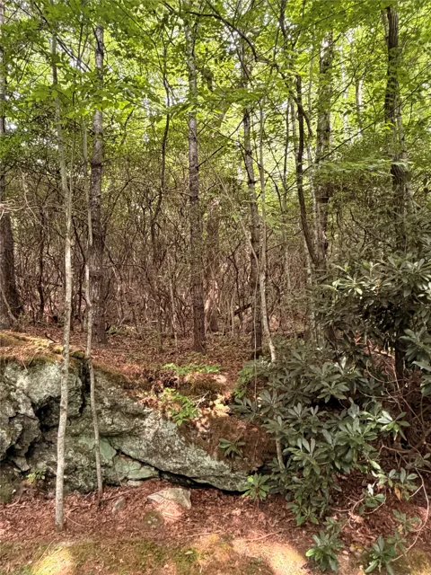 120 Buckberry Drive