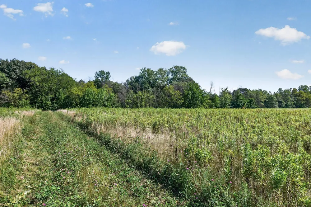 21050 336th Street Taylors Falls, MN 55084