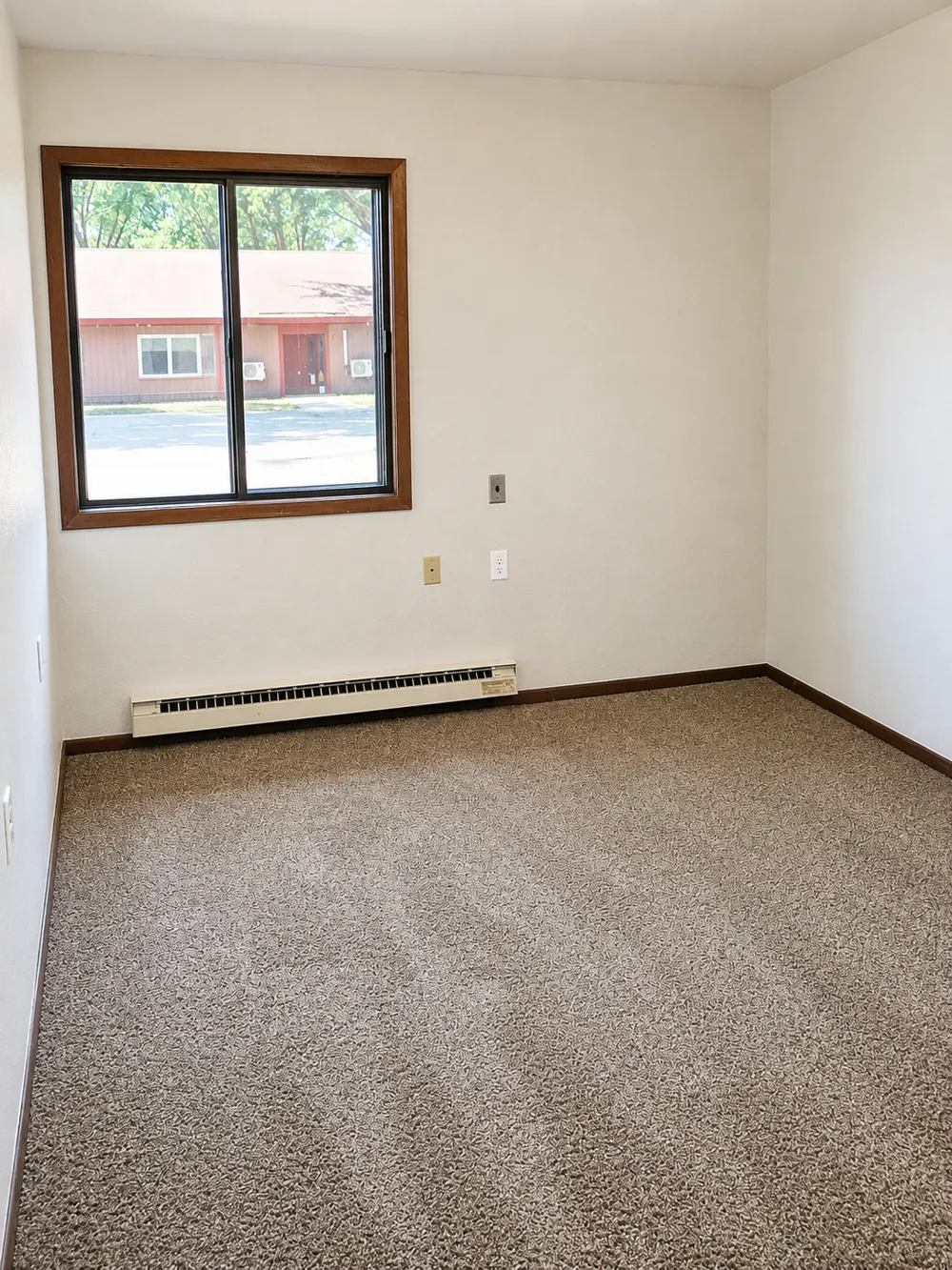 317 South Street Paynesville, MN 56362