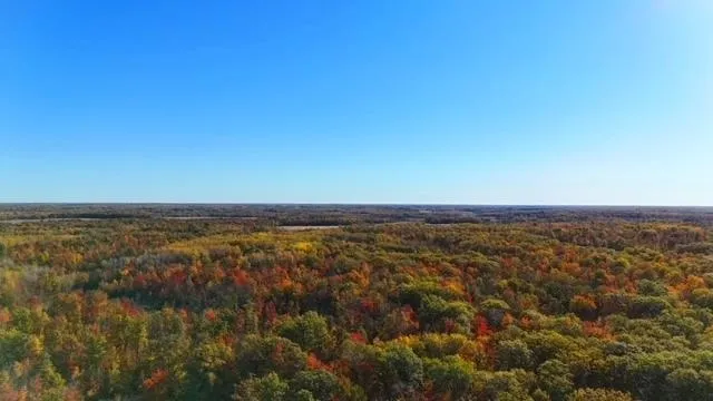 TBD Skyview Street Brook Park, MN 55007