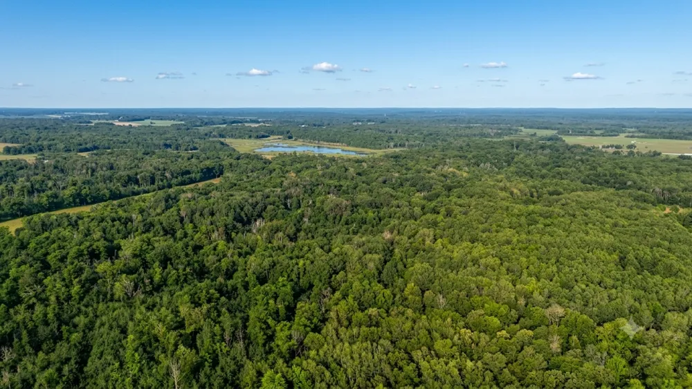 TBD Skyview Street Brook Park, MN 55007