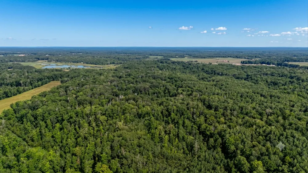 TBD Skyview Street Brook Park, MN 55007