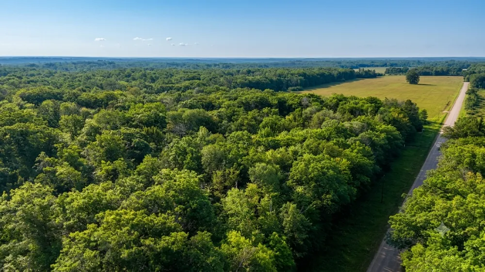 TBD Skyview Street Brook Park, MN 55007