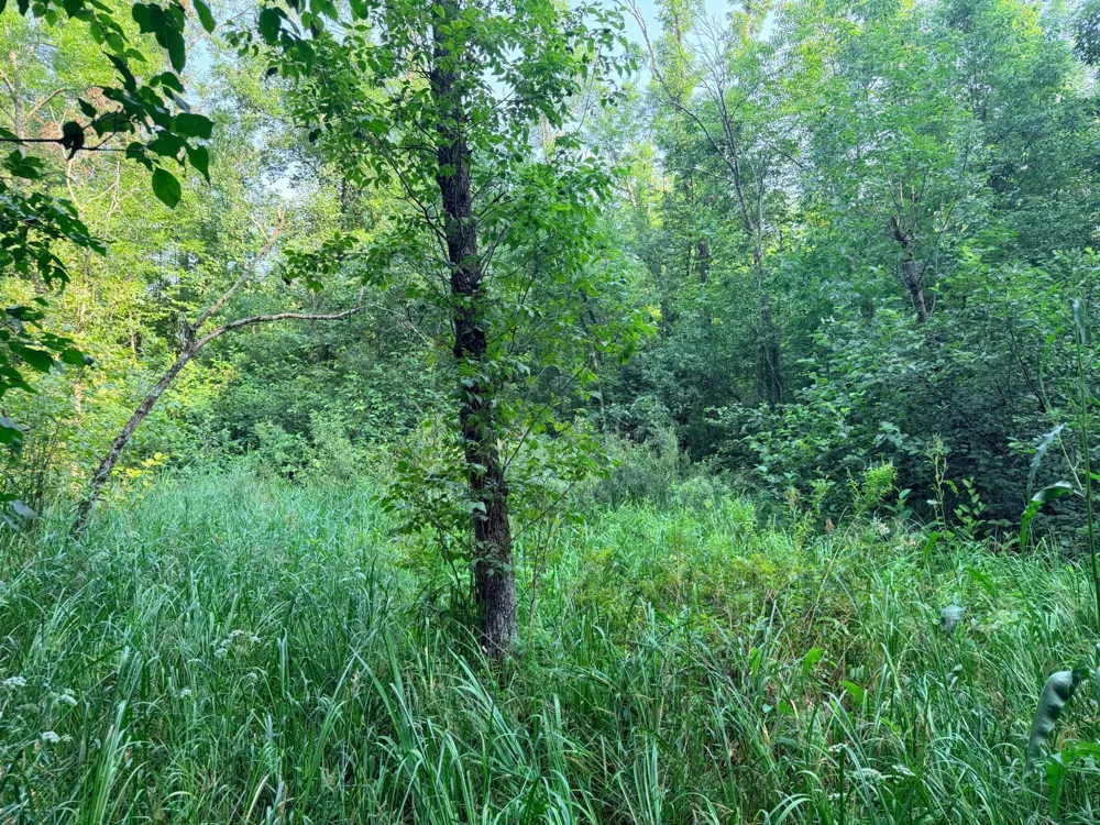 TBD Skyview Street Brook Park, MN 55007