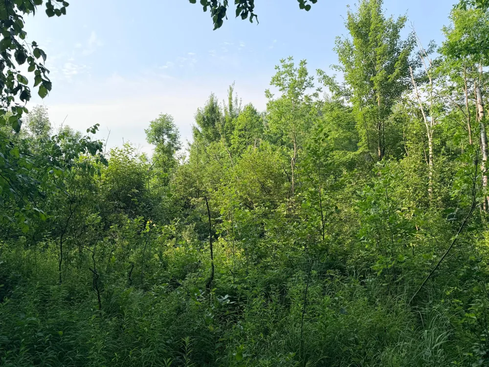 TBD Skyview Street Brook Park, MN 55007