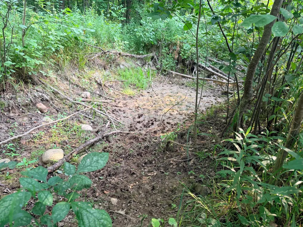 TBD Skyview Street Brook Park, MN 55007