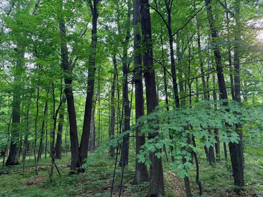 TBD Skyview Street Brook Park, MN 55007