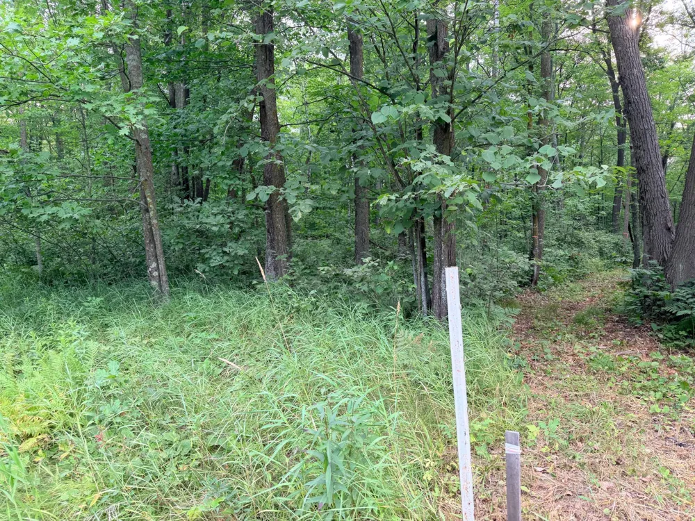 TBD Skyview Street Brook Park, MN 55007