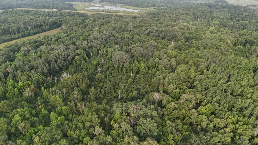 TBD Skyview Street Brook Park, MN 55007