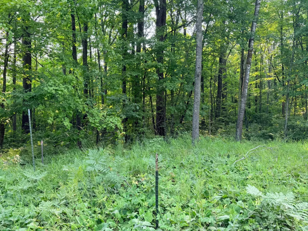 TBD Skyview Street Brook Park, MN 55007