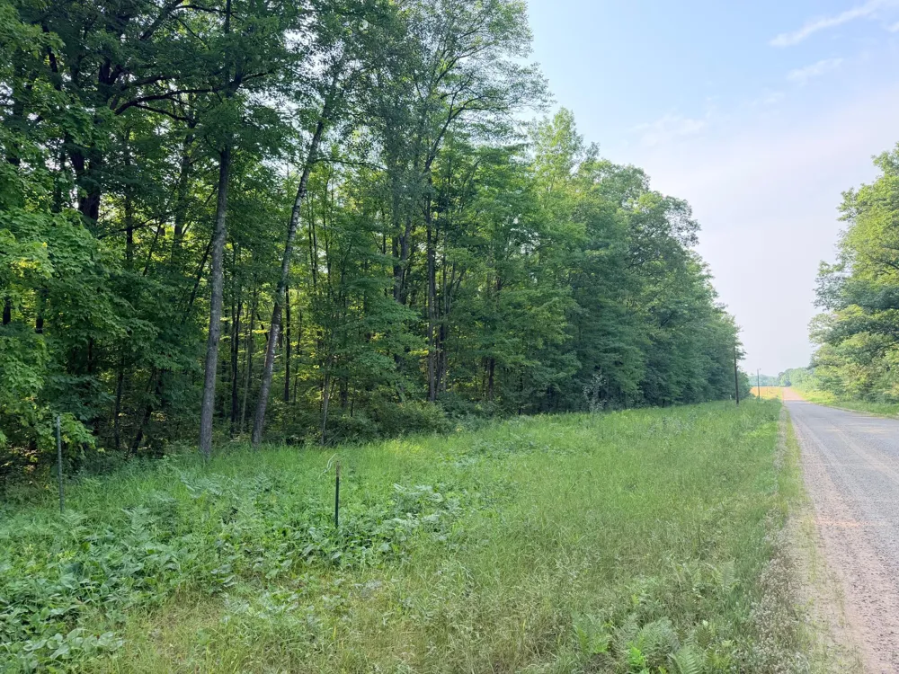 TBD Skyview Street Brook Park, MN 55007