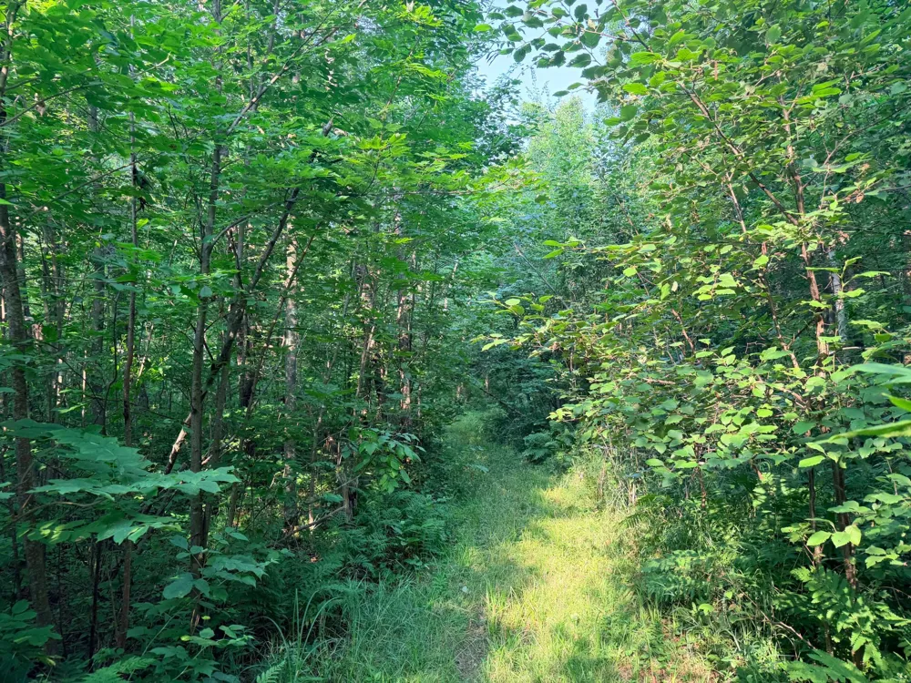 TBD Skyview Street Brook Park, MN 55007
