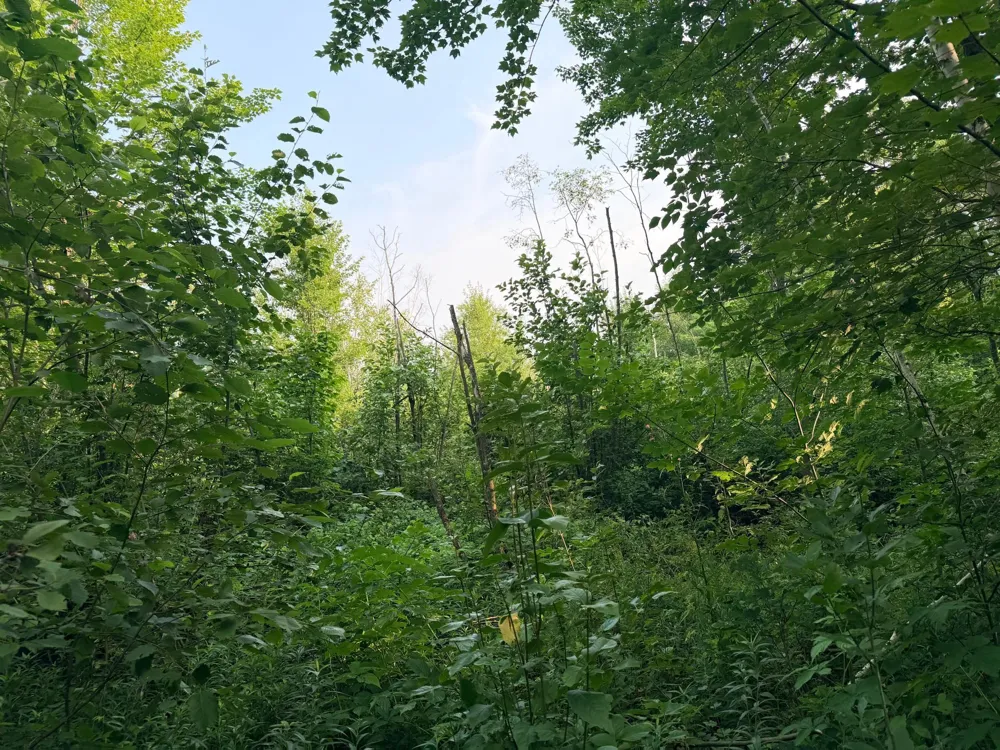 TBD Skyview Street Brook Park, MN 55007