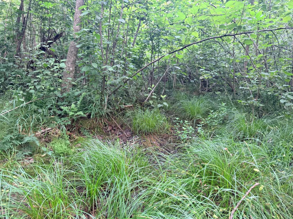 TBD Skyview Street Brook Park, MN 55007