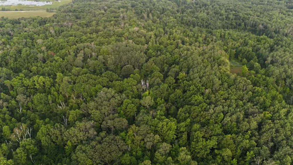 TBD Skyview Street Brook Park, MN 55007