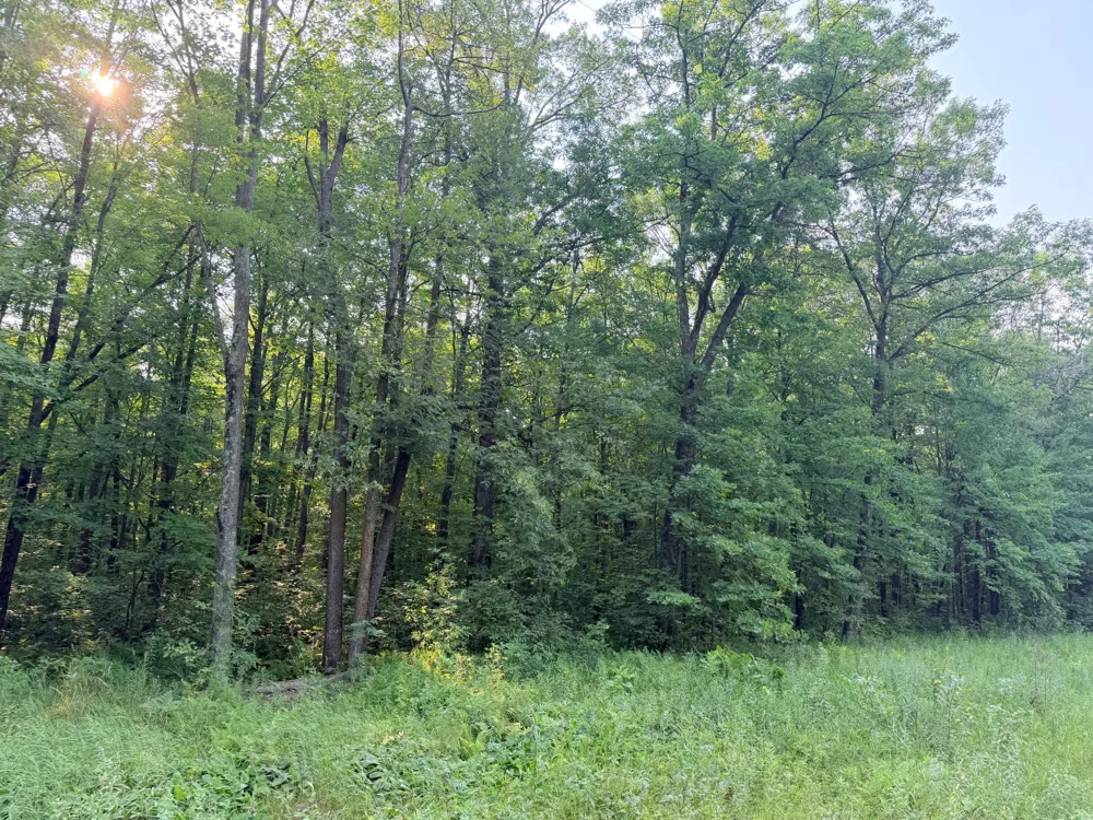 TBD Skyview Street Brook Park, MN 55007