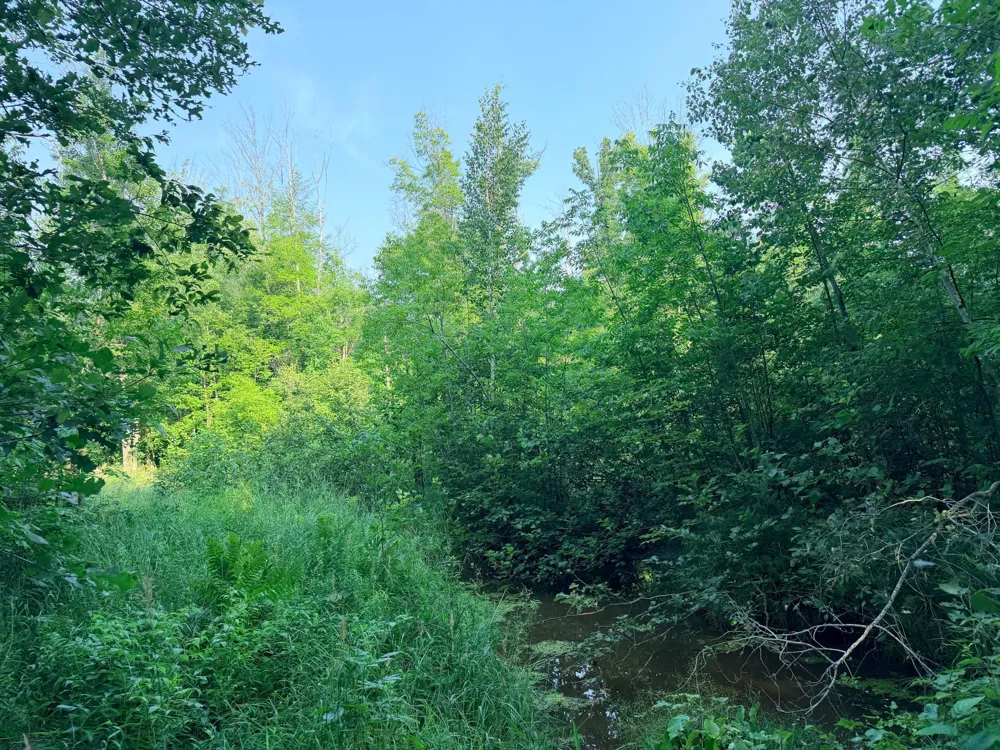 TBD Skyview Street Brook Park, MN 55007