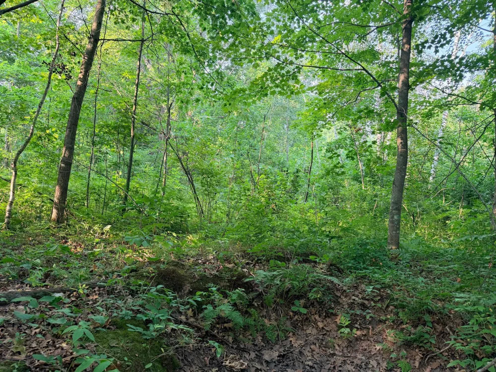 TBD Skyview Street Brook Park, MN 55007