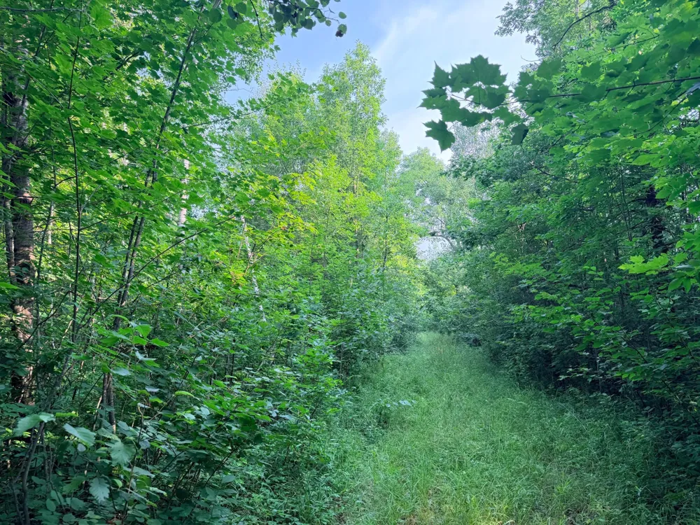 TBD Skyview Street Brook Park, MN 55007