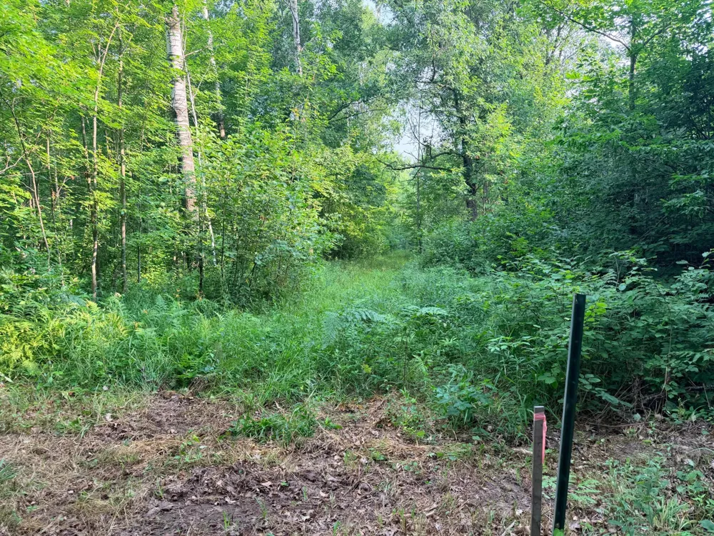 TBD Skyview Street Brook Park, MN 55007