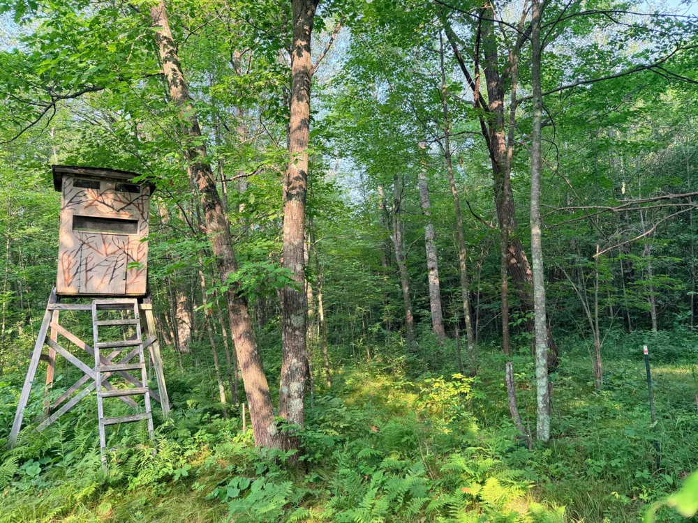 TBD Skyview Street Brook Park, MN 55007