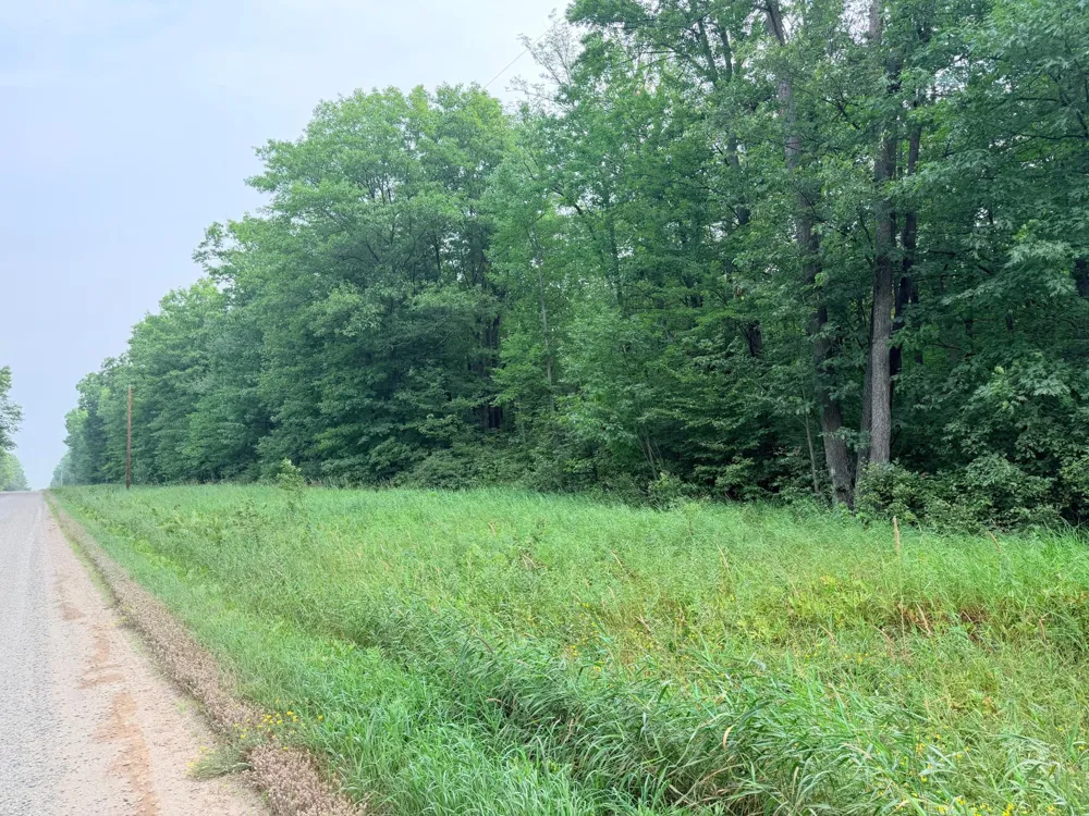 TBD Skyview Street Brook Park, MN 55007