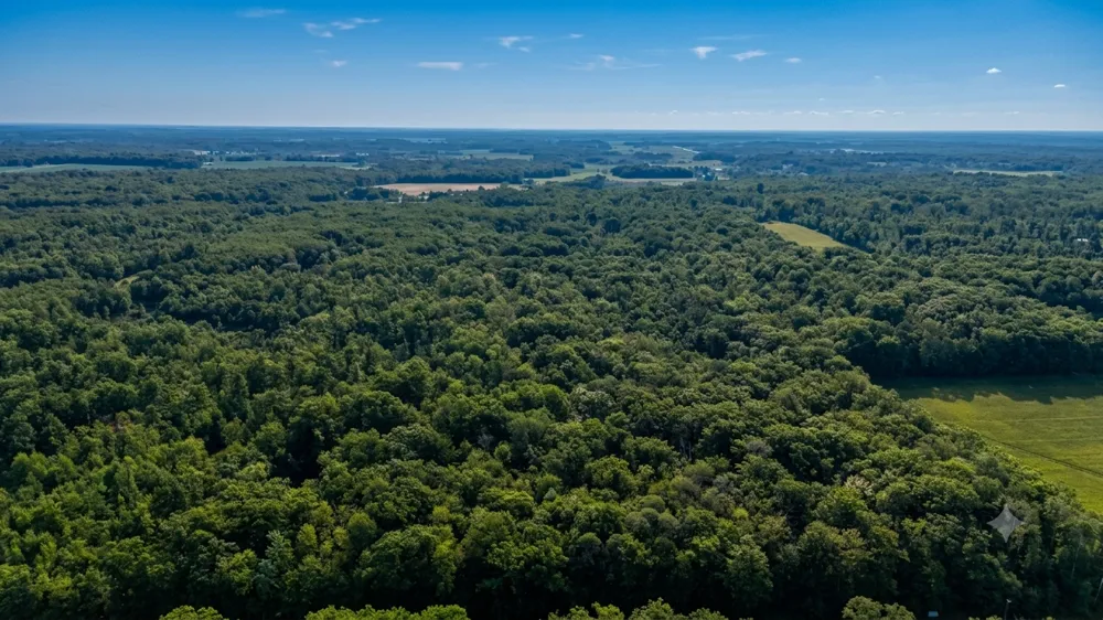 TBD Skyview Street Brook Park, MN 55007