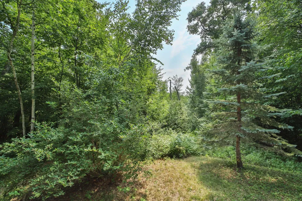 11794 County Road 1 SW Pillager, MN 56473