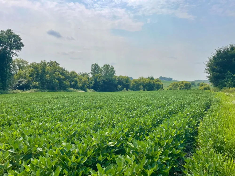 TBD Dodd Road Kilkenny, MN 56057