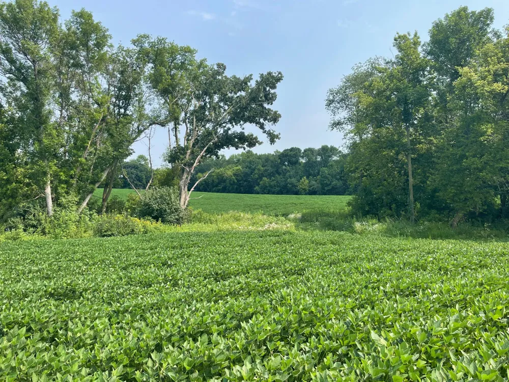 TBD Dodd Road Kilkenny, MN 56057
