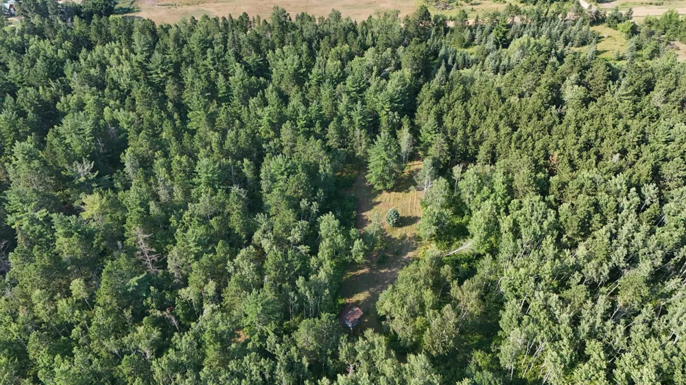 TBD Fredenburg Rd SW Solway, MN 56678