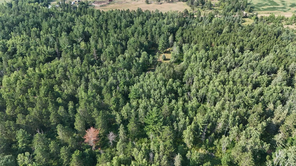 TBD Fredenburg Rd SW Solway, MN 56678