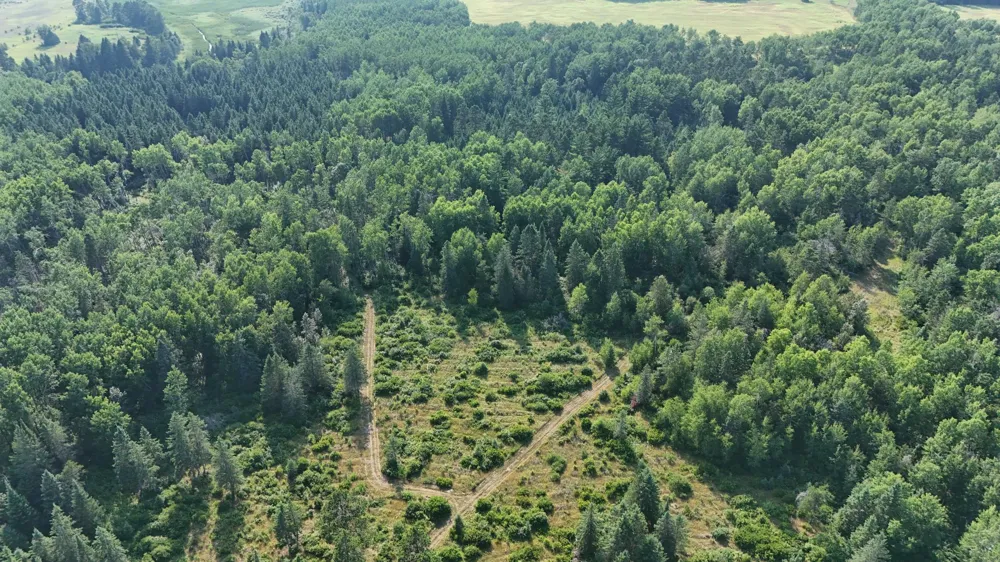 TBD Fredenburg Rd SW Solway, MN 56678