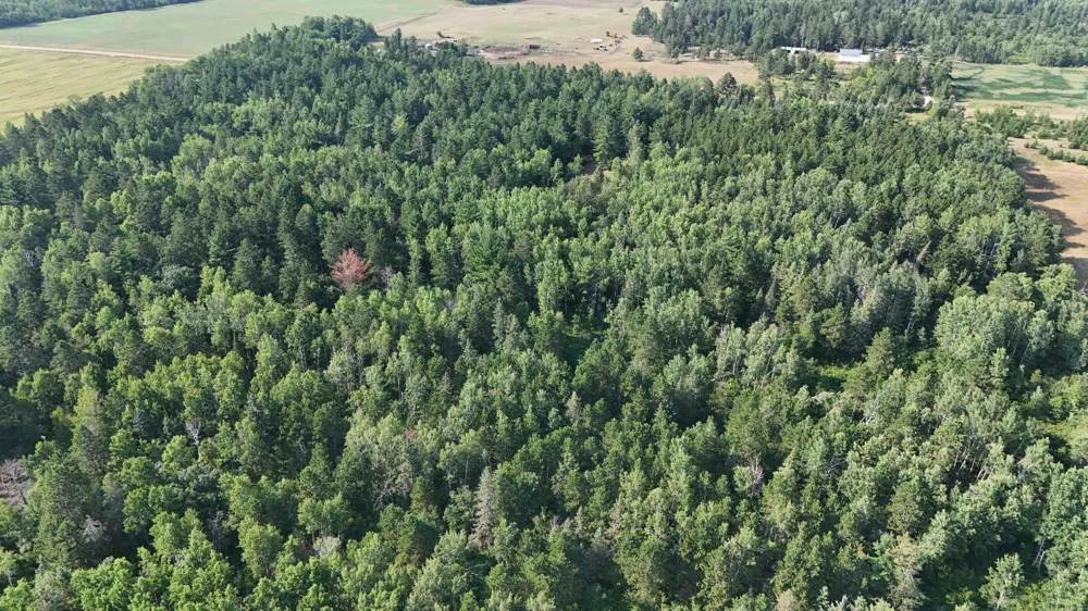 TBD Fredenburg Rd SW Solway, MN 56678