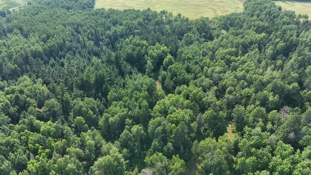 TBD Fredenburg Rd SW Solway, MN 56678
